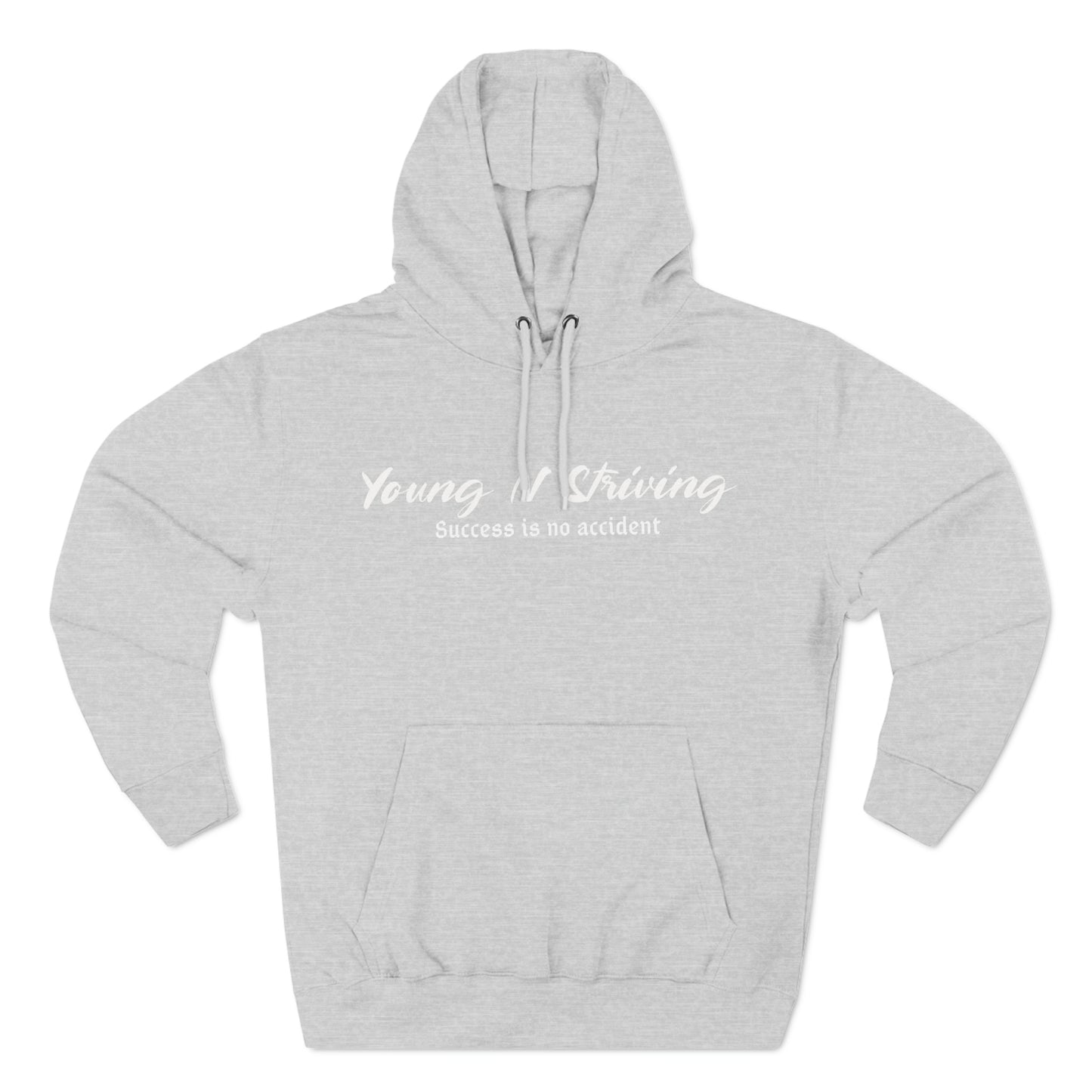 Young N Striving Three-Panel Fleece Hoodie