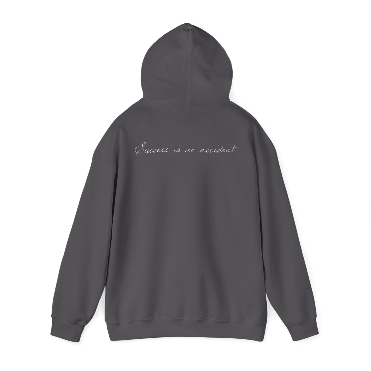 YNS Dream Chasers Unisex Heavy Blend™ Hooded Sweatshirt