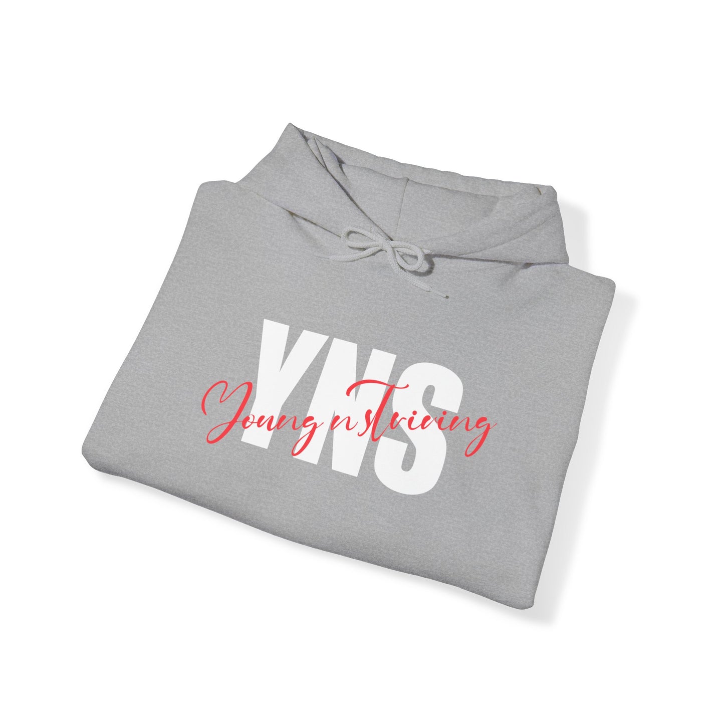 YNS Dream Chasers Unisex Heavy Blend™ Hooded Sweatshirt