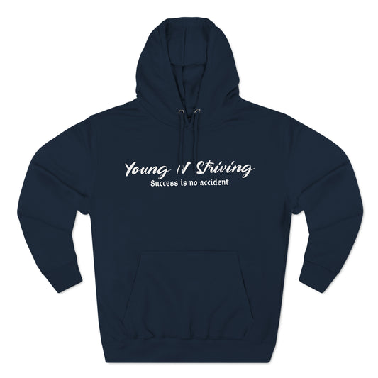 Young N Striving Three-Panel Fleece Hoodie